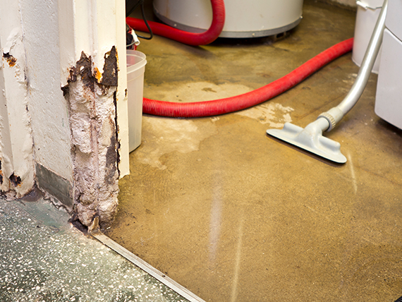 Water Damage Repair